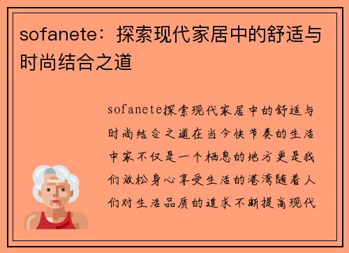 sofanete：探索现代家居中的舒适与时尚结合之道